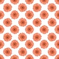 Hand drawn watercolor orange calendula seamless pattern isolated on white background. Can be used for textile, wrapping, fabric