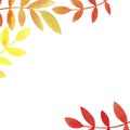 Hand drawn watercolor orange yellow red rose hips leaves with copy space on white background.