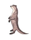 Hand drawn watercolor otter.
