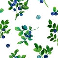 Blueberry sprigs seamless pattern on white background.