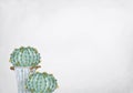 Hand drawn watercolor painting of cactus on grey background Royalty Free Stock Photo