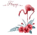 Hand drawn watercolor painting with flamingo and Chinese Hibiscus rose flowers isolated on white background Royalty Free Stock Photo