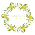 Hand-drawn watercolor painting lemon frame on white background. Vector illustration of green leaves, flowers, buds, and Royalty Free Stock Photo