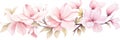 Hand drawn watercolor painting of light pink flower borber
