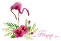 Hand drawn watercolor painting  with pink flamingo and Chinese Hibiscus rose flowers isolated on white background Royalty Free Stock Photo