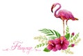 Hand drawn watercolor painting  with pink flamingo and Chinese Hibiscus rose flowers isolated on white background Royalty Free Stock Photo