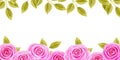 Hand drawn watercolor painting with pink roses flowers border  isolated on white background. Floral ornament Royalty Free Stock Photo