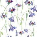 Seamless pattern with wild flowers, watercolor illustration