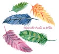 Hand drawn watercolor paintings sweet abstract feather set