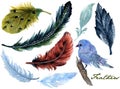 Hand drawn watercolor paintings vibrant butterfly and birds feather set Boho color style wings Aquarelle feather for background Royalty Free Stock Photo