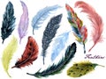 Hand drawn watercolor paintings vibrant butterfly and birds feather set Boho color style wings Aquarelle feather for background Royalty Free Stock Photo