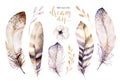 Hand drawn watercolor paintings vibrant feather set. Boho style rose wings. illustration feathers isolated on white Royalty Free Stock Photo