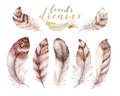 Hand drawn watercolor paintings vibrant feather set. Boho style wings. illustration isolated ont white. Bird fly design Royalty Free Stock Photo