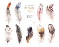 Hand drawn watercolor paintings vibrant feather set.