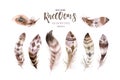 Hand drawn watercolor paintings vibrant feather set. Boho style wings. illustration isolated on white. Bird fly design Royalty Free Stock Photo