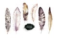 Hand drawn watercolor paintings vibrant feather set. Boho style wings. illustration isolated on white. Bird fly design Royalty Free Stock Photo