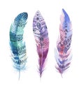 Hand drawn watercolor paintings vibrant feather set. Boho style