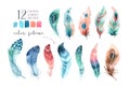 Hand drawn watercolor paintings vibrant feather set. Boho style Royalty Free Stock Photo