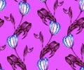 Hand drawn watercolor pattern with blue and white tulips and leaves isolated on purple background. Colorful flower, Royalty Free Stock Photo