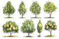 Hand-Drawn Watercolor Pear Trees Collection: A Beautiful Pear Tree Forest Pack 1. Gene.rative AI Royalty Free Stock Photo