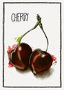 Watercolor and pencil illustration of cherries