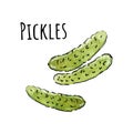 Hand drawn watercolor pickles icon