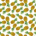 Hand drawn watercolor pineapples