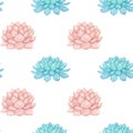 Hand drawn watercolor pink and blue succulent seamless pattern