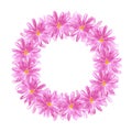 Hand drawn watercolor pink daisy flower wreath. Isolated on white background. Scrapbook, post card, banner, lable Royalty Free Stock Photo