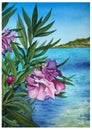 Hand drawn watercolor pink flower on seaview background