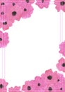 Hand drawn watercolor pink poppy flowers bouquet frame border isolated on white background. Can be used for post card, poster and Royalty Free Stock Photo