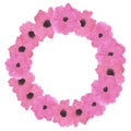 Hand drawn watercolor pink poppy flowers wreath border isolated on white background. Can be used for album, post card and other Royalty Free Stock Photo