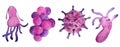 Hand drawn watercolor pink purple viruses and bacteria isolated set. Microscopic cell illness, virus, bacterium and