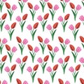 Hand drawn watercolor pink and red tulips seamless pattern on white background. Can be used for fabric, textile, gift-wrapping Royalty Free Stock Photo