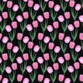 Hand drawn watercolor pink tulips seamless pattern on black background. Can be used for fabric, textile, gift-wrapping Royalty Free Stock Photo