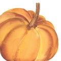 Hand drawn watercolor pumpkin