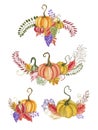 Hand drawn watercolor pumpkins