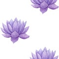 Hand drawn watercolor purple succulent seamless pattern