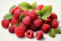 hand drawn watercolor raspberries isolated on white. AI Generated