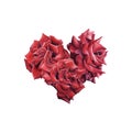 Hand Drawn Watercolor Red Rose bouquet heart shape isolated on white background Royalty Free Stock Photo
