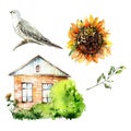 Hand Drawn Watercolor Rural Summer Isolated Objects