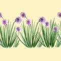 Hand drawn watercolor rural summer pattern with allium.