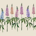 Hand drawn watercolor rural summer pattern with lupin.