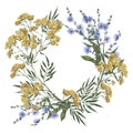 Hand drawn watercolor rural summer tansy and chicory wreath.