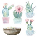 Hand drawn watercolor saguaro cactuses Royalty Free Stock Photo