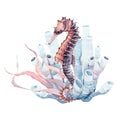 Hand drawn watercolor seahorse.