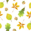 Hand drawn watercolor, Seamless autumn pattern