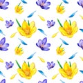 Hand drawn watercolor seamless floral pattern with yellow orange ochre violet purple crocus saffron flowers 3021