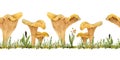 Hand drawn watercolor seamless horizontal border illustration of chanterelle cibarius edible wild fungi mushrooms