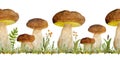 Hand drawn watercolor seamless horizontal border illustration of porcini cep edible boletus mushroom. Forest wood